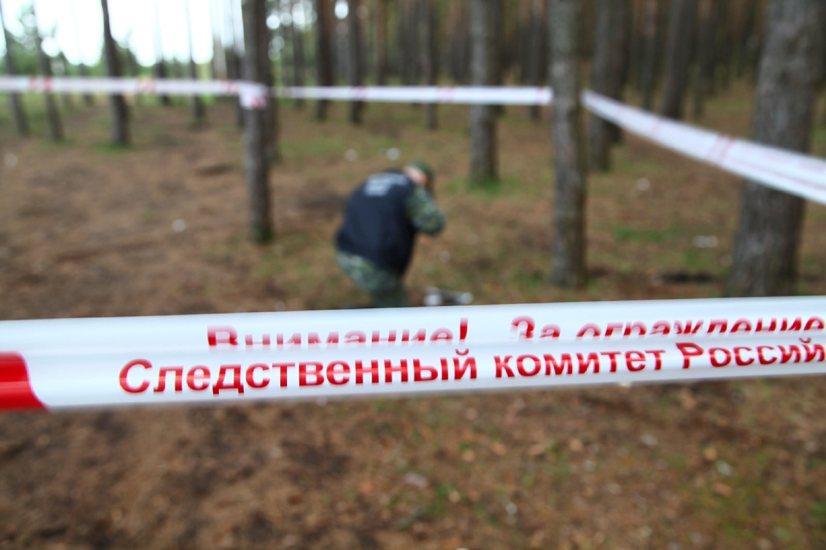 В Тверской области ищут мужчину, который попытался в лесу изнасиловать девушку: К счастью, ему это не удалось.